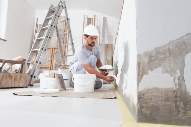 Best Attic Mold Removal  in Lakewood, SC