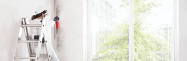 Best Mold Prevention Services  in Lakewood, SC